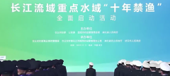 图片名称